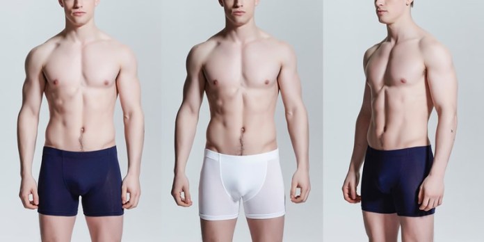 Tani SwissTouch Cotton Boxer Briefs