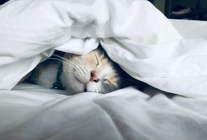 Deal with Insomnia