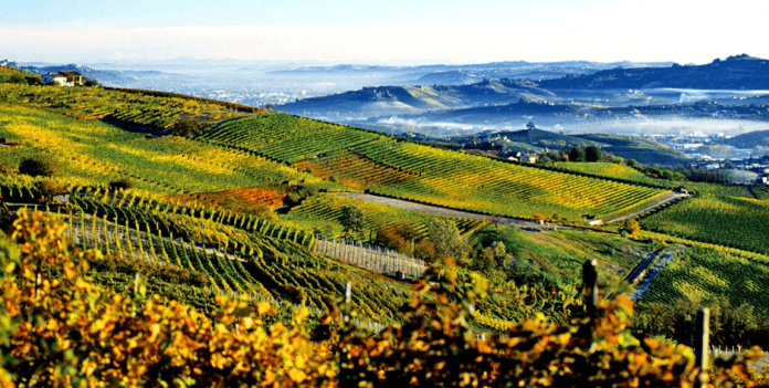 Wine Destinations