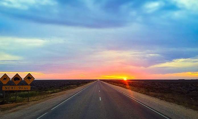 Road trip