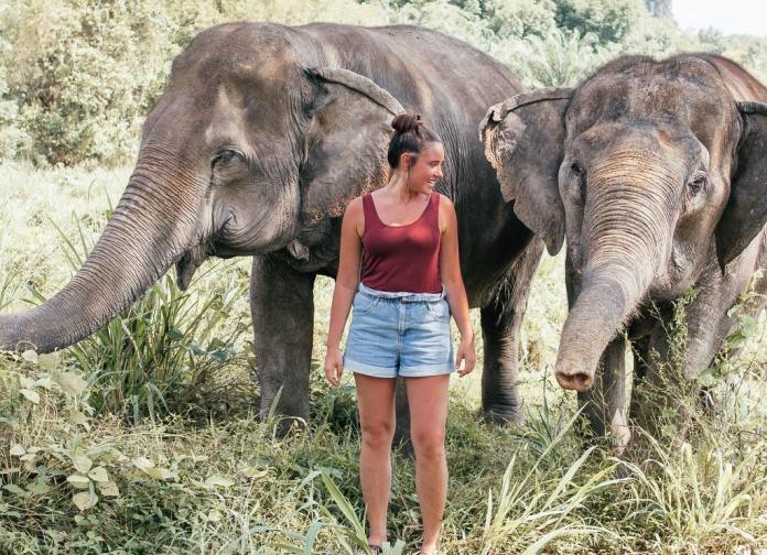 travel volunteer elephants