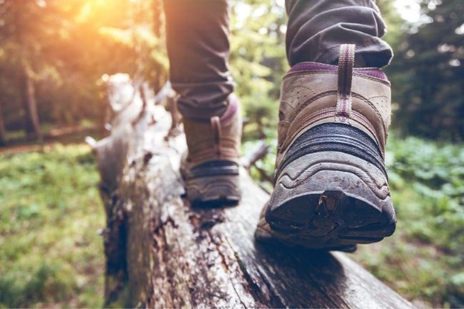 Foundational Essentials for Outdoor Adventures