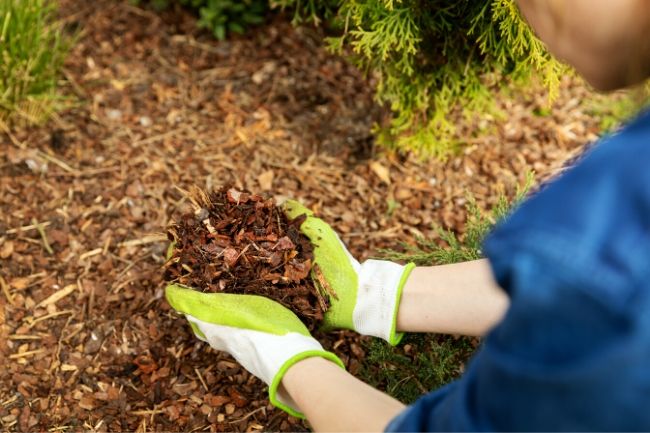 Summer Home Improvement Projects Everyone Should Tackle