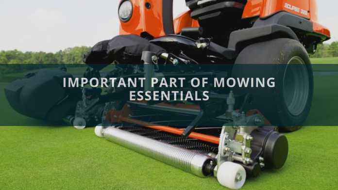 The Important Part of Mowing Essentials (1)