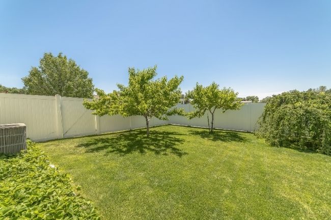 Tips for DIY Small Tree Removal
