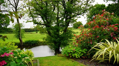 Watering your Garden