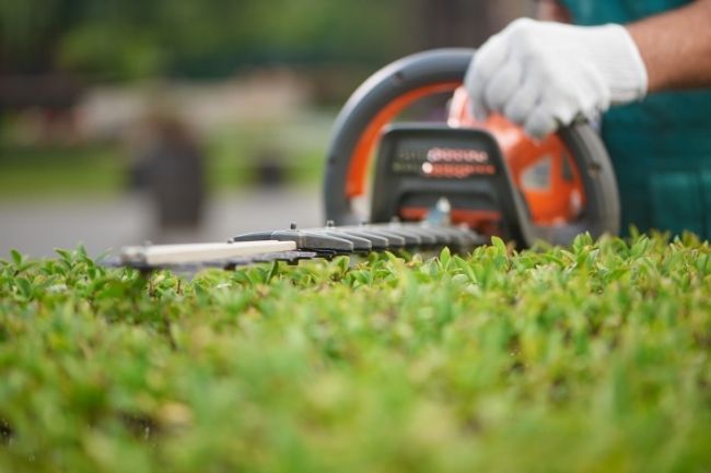 Essential Equipment for a Landscaping Business