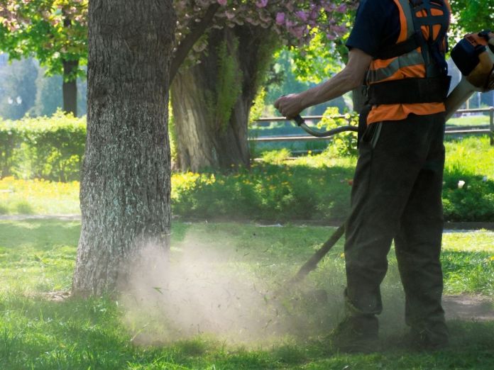 Profit Mistakes Your Landscaping Company Is Making