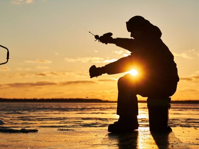 Fish Species That Are More Active in the Winter