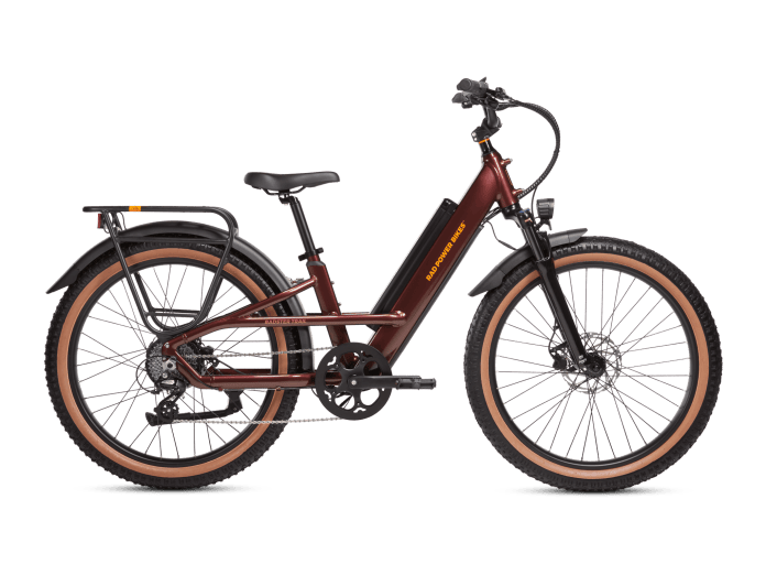 Rugged Electric Bikes